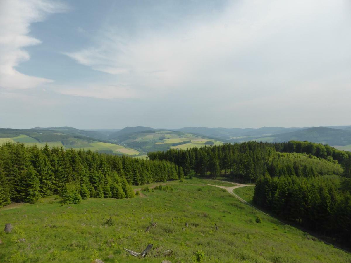 Das Nest Винтерберг Экстерьер фото